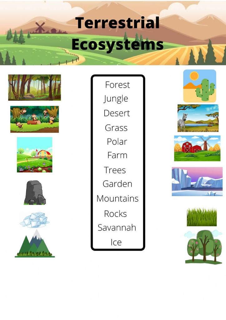 types of terrestrial ecosystems