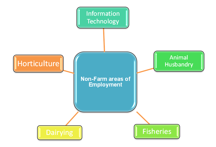 NON FARM EMPLOYMENT IN RURAL AREAS Notes NCERT Solutions for CBSE Class 12  Economics : EduMple